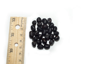 Broad Bean/Fava - Black