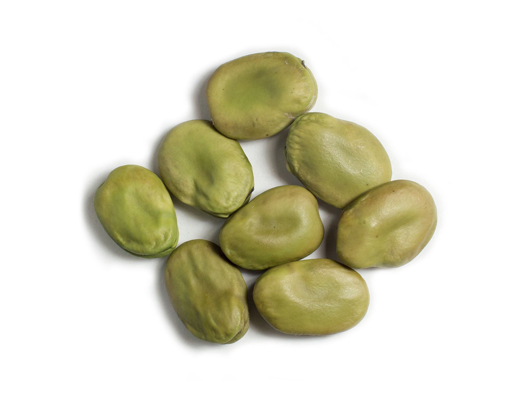 Broad Bean/Fava - Masterpiece Green Longpod