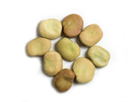 Load image into Gallery viewer, Broad Bean/Fava - Polar
