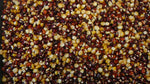 Load image into Gallery viewer, Dry Corn - Cascade Ruby-Gold

