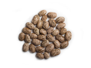 Dry Bean (Bush) - Agassiz Pinto