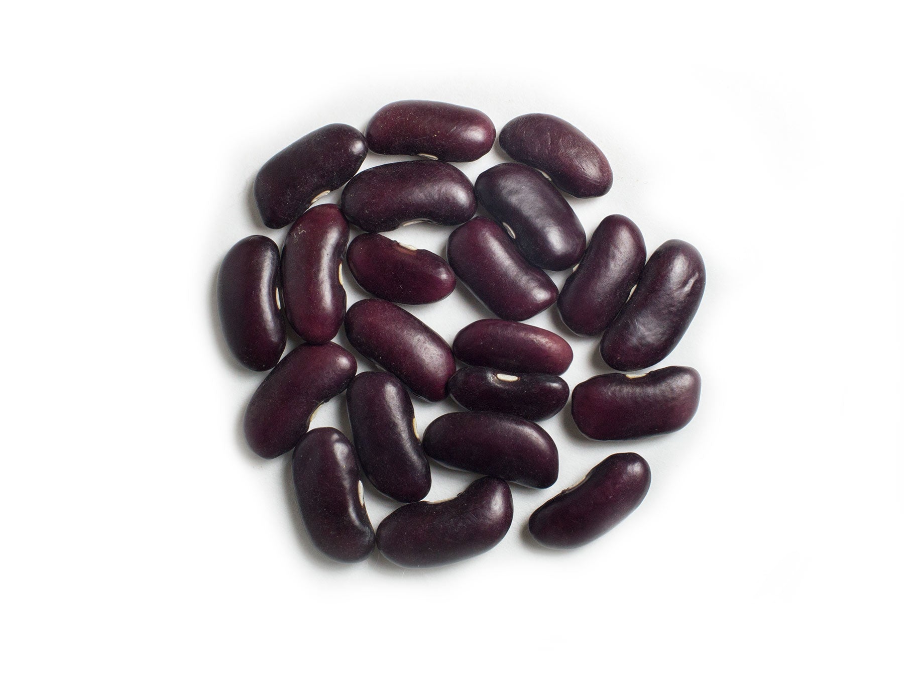 Dry Bean (Bush) - Big Red Kidney