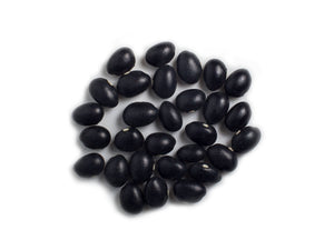 Dry Bean (Bush) - Black Coco