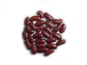 Dry Bean (Bush) - Canadian Wonder
