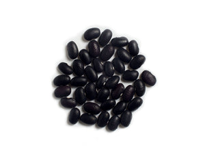 Dry Bean (Bush) - Mitla Black