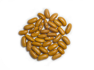 Dry Bean (Bush) - Norwegian Brown