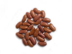 Dry Bean (Bush) - Pink Kidney