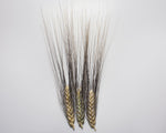 Load image into Gallery viewer, Wheat (Durum) - De Cañete la Réal
