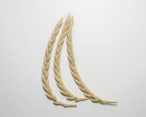 Wheat (Spelt) - Spring