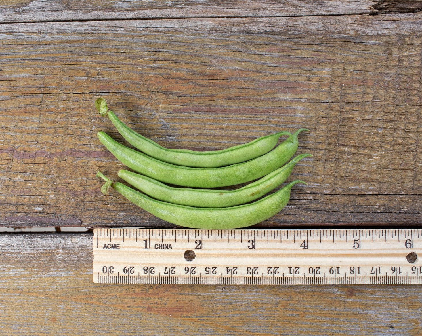 Green Bean (Bush) - Record
