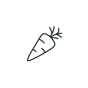 Carrot - Belgian White