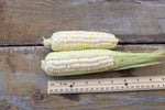 Load image into Gallery viewer, Sweet Corn - Luther Hill
