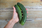 Load image into Gallery viewer, Cucumber - Tante Alice
