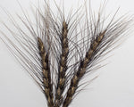 Load image into Gallery viewer, Wheat (Bread) - Black Decorative
