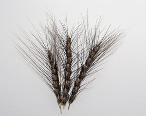 Wheat (Bread) - Black Decorative