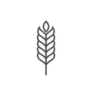 Wheat Cross (Triticale) - Bumper