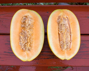 Melon - Boughem