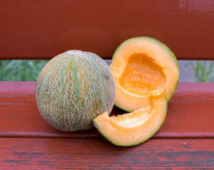 Melon - Farnorth