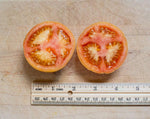 Load image into Gallery viewer, Clare’s Tomato
