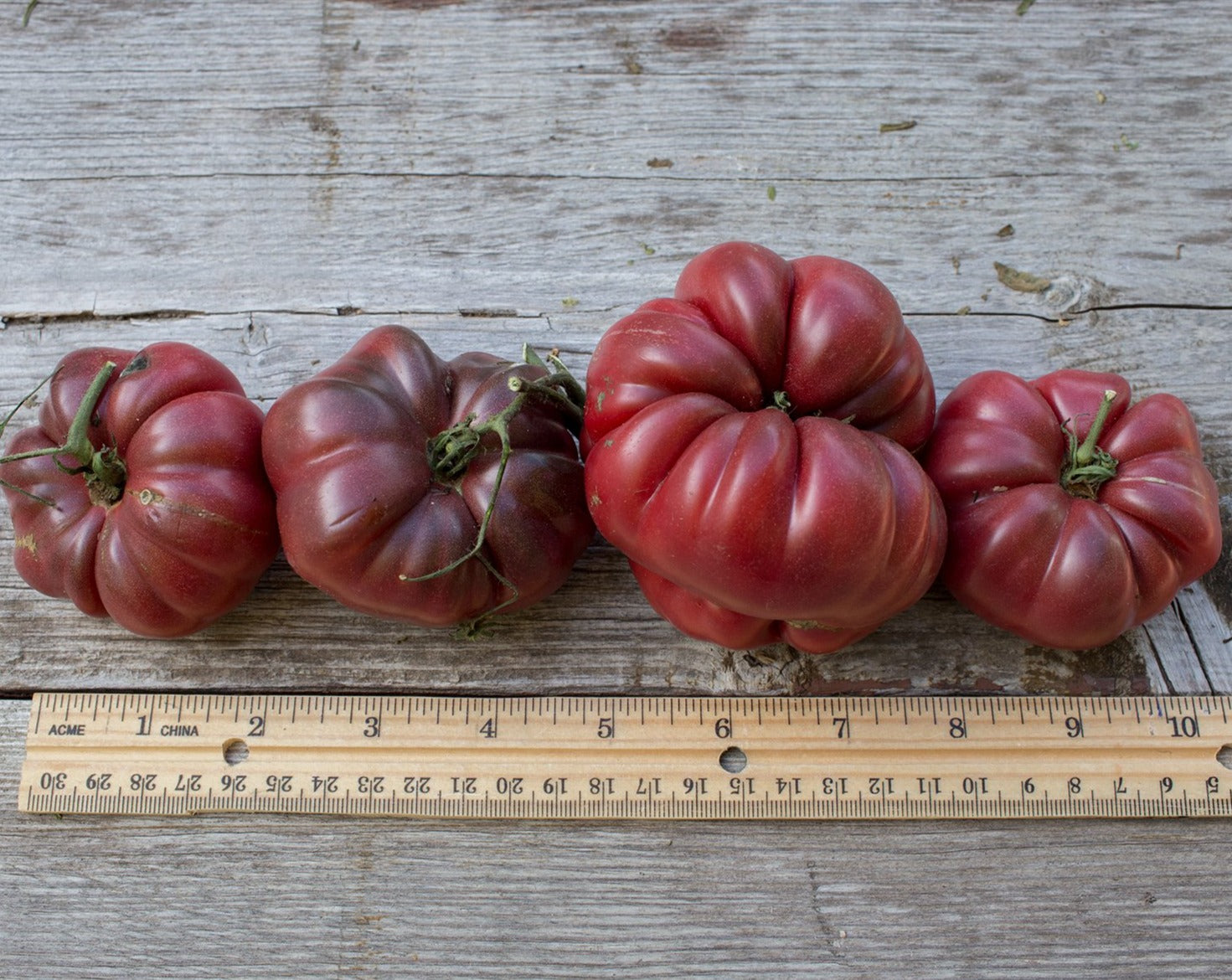 Tomatoes – Tagged 