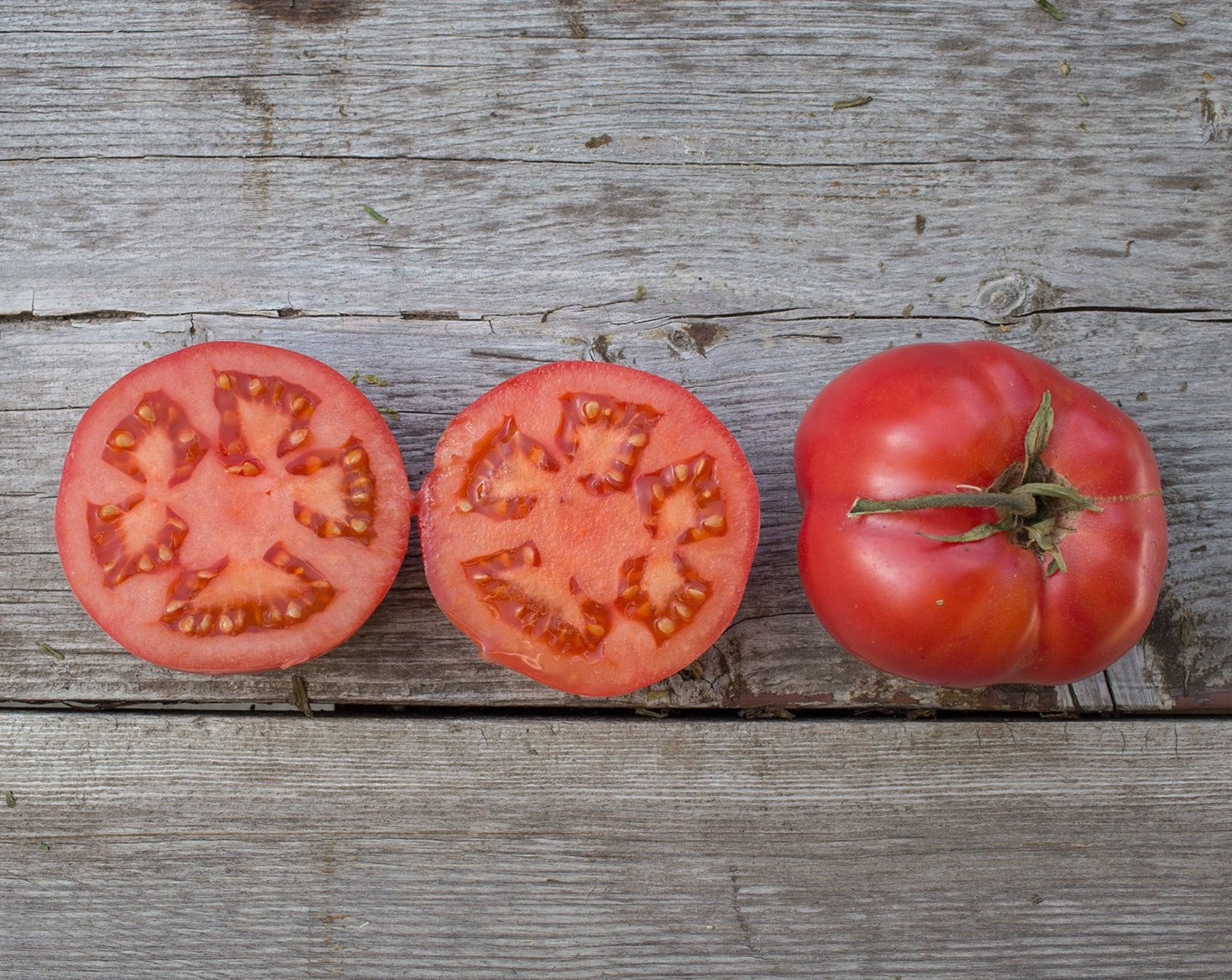 Tomatoes – Tagged 