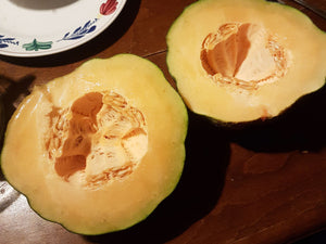 Melon - Petit Gris de Rennes