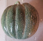 Load image into Gallery viewer, Melon - Petit Gris de Rennes
