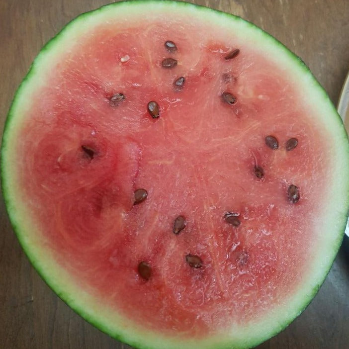 Watermelon - Sugar Baby